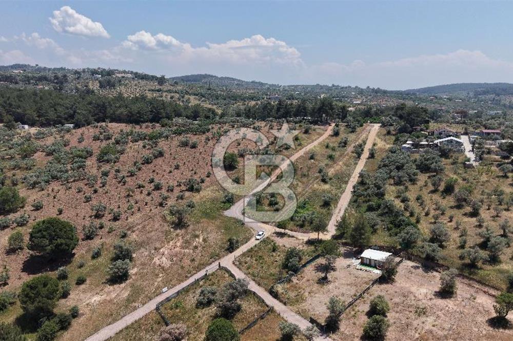 Buca Kırklar Köyü Merkeze Yakın Alt Yapısı Hazır Arsa