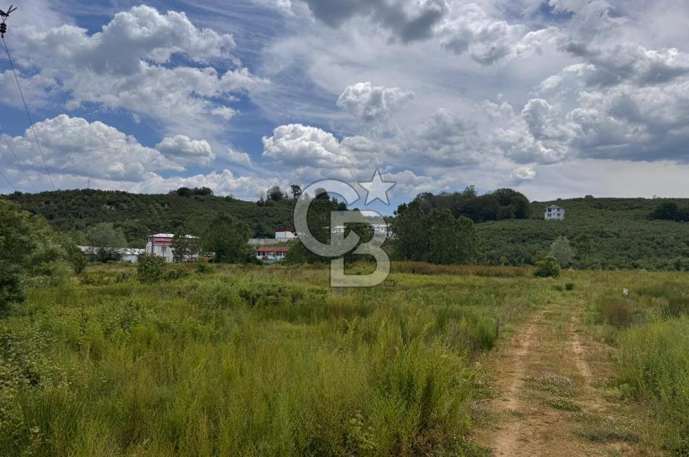 CB ENVOY Sakarya Kocaali Demiraçma'da 1242 m2 Arsa