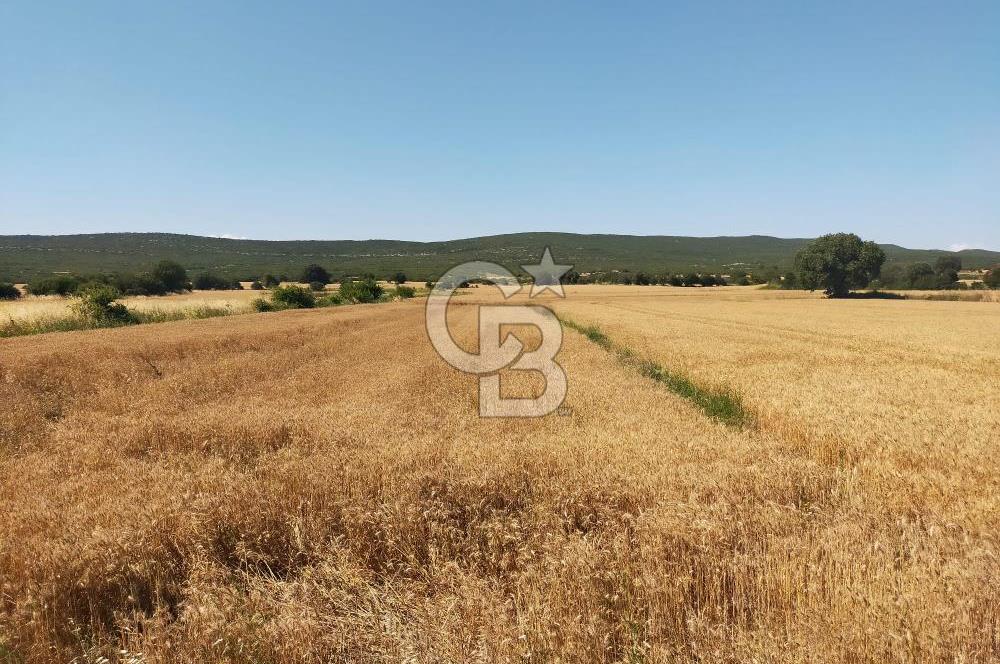 ANA ASFALTA SIFIR | YAN YANA 2 PARSEL | TOPLAM 5.820 m²