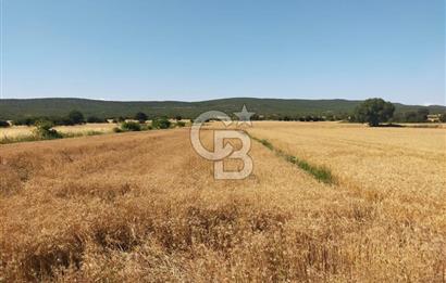 ANA ASFALTA SIFIR | YAN YANA 2 PARSEL | TOPLAM 5.820 m²