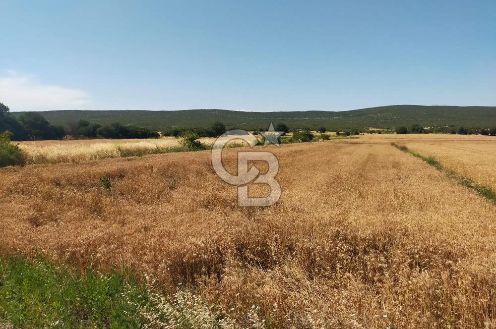 ANA ASFALTA SIFIR | YAN YANA 2 PARSEL | TOPLAM 5.820 m²