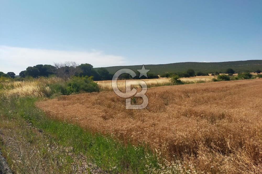 ANA ASFALTA SIFIR | YAN YANA 2 PARSEL | TOPLAM 5.820 m²
