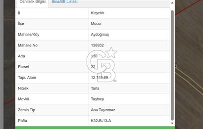  KIRŞEHİR MUCUR TEK TAPU KADASTRAL YOLA CEPHE SATILIK TARLA