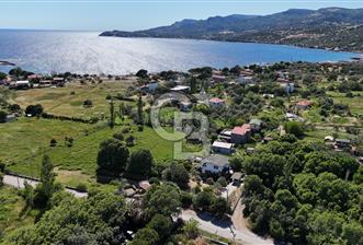 ÇANAKKALE AYVACIK BEKTAŞ KÖYÜ NDE SATILIK 5065M² TARLA - 1 - 352083