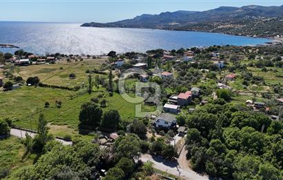 ÇANAKKALE AYVACIK BEKTAŞ KÖYÜ NDE SATILIK 5065M² TARLA