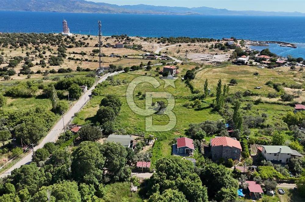 ÇANAKKALE AYVACIK BEKTAŞ KÖYÜ NDE SATILIK 5065M² TARLA