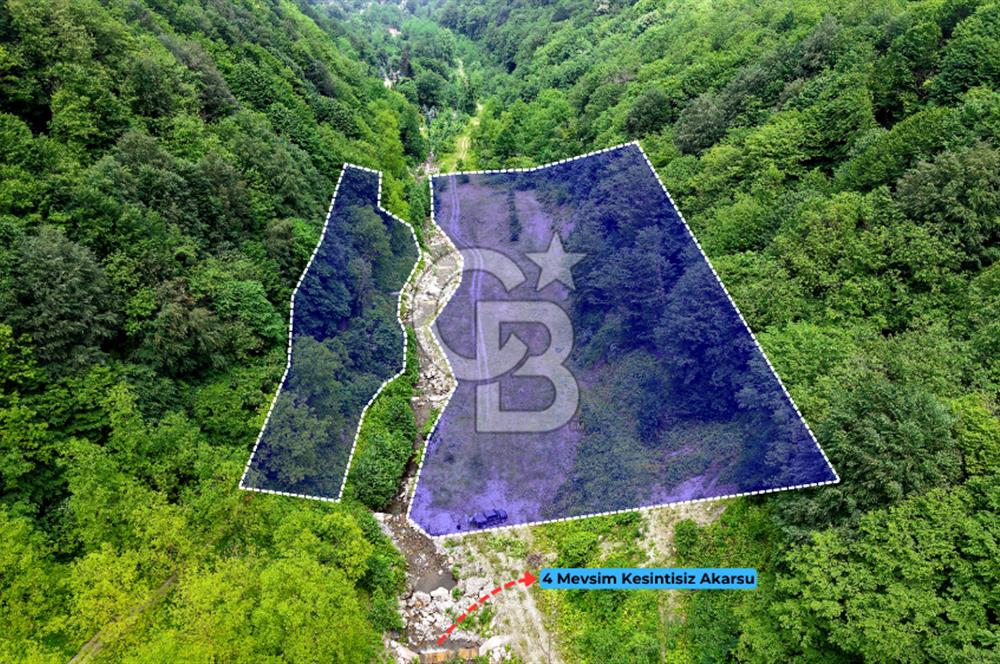 SAPANCA  İSTANBULDERE ALABALIK EVİ KONAKLAMA TESİSLERİ VE ARAZİLERİ SATILIK