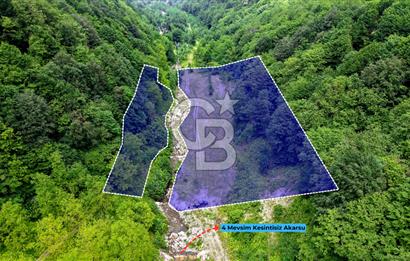 SAPANCA  İSTANBULDERE ALABALIK EVİ KONAKLAMA TESİSLERİ VE ARAZİLERİ SATILIK
