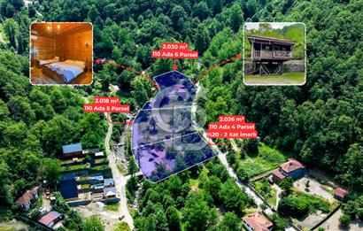 SAPANCA  İSTANBULDERE ALABALIK EVİ KONAKLAMA TESİSLERİ VE ARAZİLERİ SATILIK