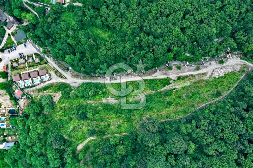 SAPANCA  İSTANBULDERE ALABALIK EVİ KONAKLAMA TESİSLERİ VE ARAZİLERİ SATILIK