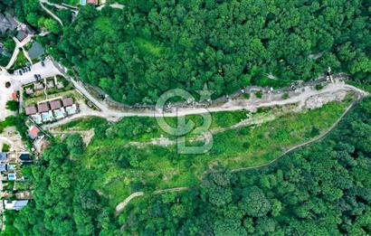 SAPANCA  İSTANBULDERE ALABALIK EVİ KONAKLAMA TESİSLERİ VE ARAZİLERİ SATILIK