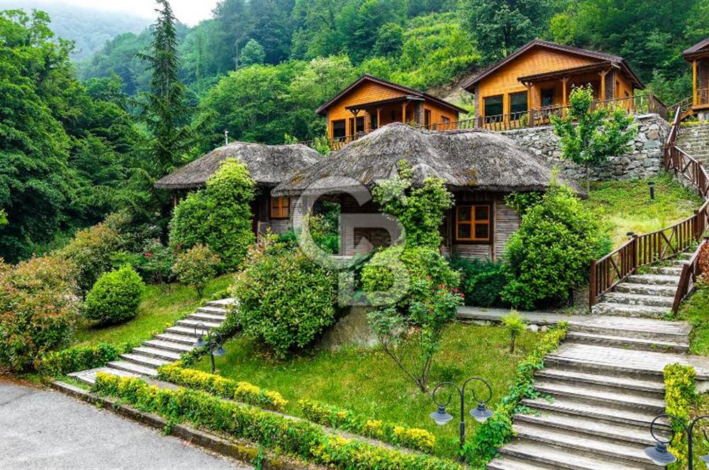 SAPANCA  İSTANBULDERE ALABALIK EVİ KONAKLAMA TESİSLERİ VE ARAZİLERİ SATILIK