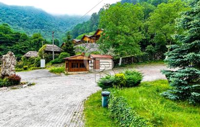 SAPANCA  İSTANBULDERE ALABALIK EVİ KONAKLAMA TESİSLERİ VE ARAZİLERİ SATILIK