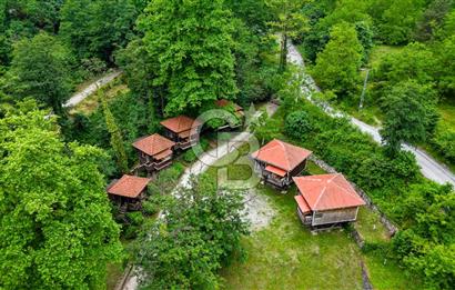 SAPANCA  İSTANBULDERE ALABALIK EVİ KONAKLAMA TESİSLERİ VE ARAZİLERİ SATILIK