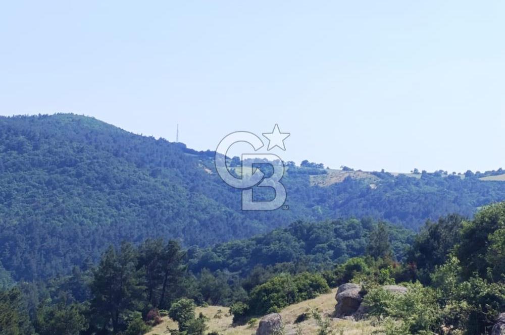 DOĞA İÇİNDE İÇERİSİNDE MEŞE AĞAÇLARI OLAN MUHTEŞEM FIRSAT ARAZİ