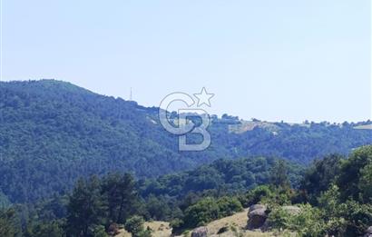 DOĞA İÇİNDE İÇERİSİNDE MEŞE AĞAÇLARI OLAN MUHTEŞEM FIRSAT ARAZİ