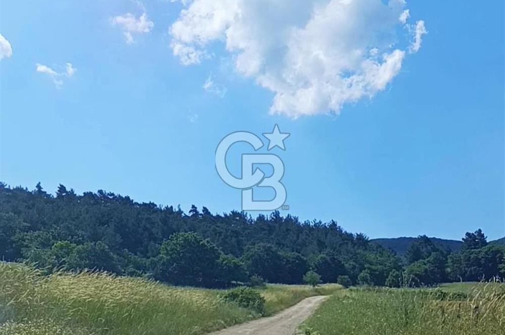 DOĞA İÇİNDE İÇERİSİNDE MEŞE AĞAÇLARI OLAN MUHTEŞEM FIRSAT ARAZİ
