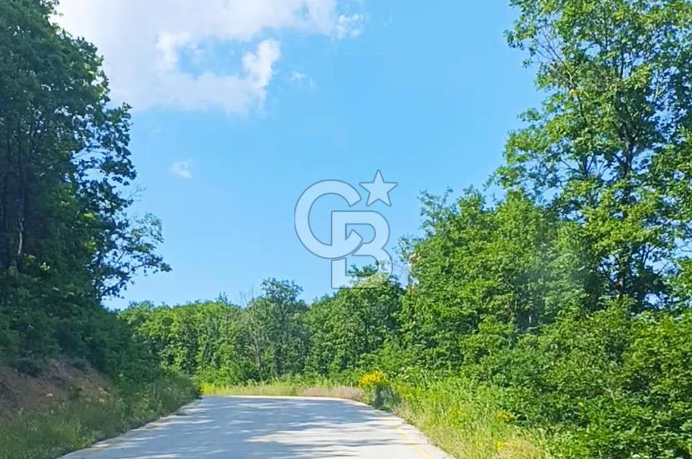 DOĞA İÇİNDE İÇERİSİNDE MEŞE AĞAÇLARI OLAN MUHTEŞEM FIRSAT ARAZİ