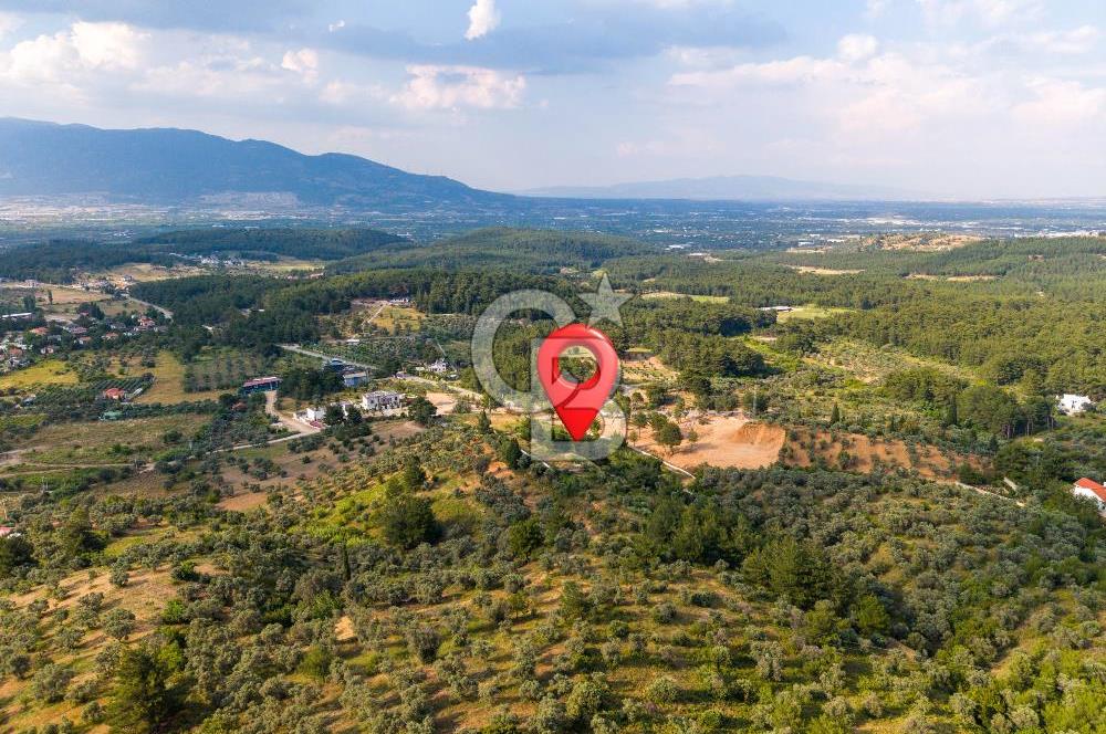 KEMALPAŞA YUKARI KIZILCA'DA GERÇEK YATIRIM FIRSATI