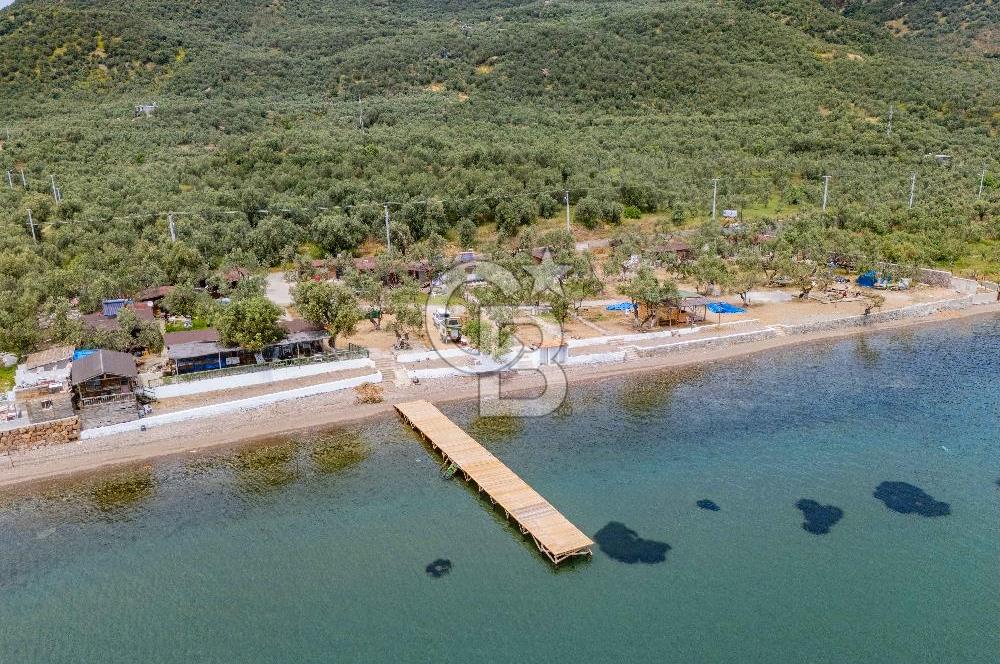 Denize Sıfır 3.044 m² Hazır Kamp ve BungIov İşletme devri