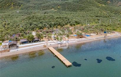 Denize Sıfır 3.044 m² Hazır Kamp ve BungIov İşletme devri