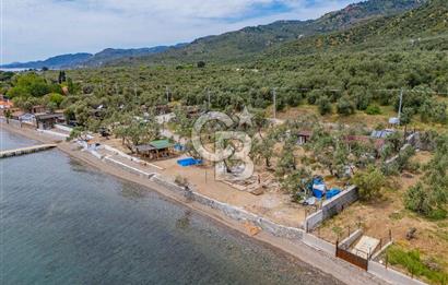 Denize Sıfır 3.044 m² Hazır Kamp ve BungIov İşletme devri