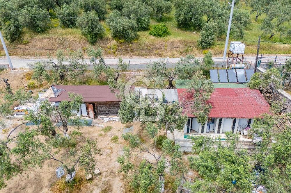 Denize Sıfır 3.044 m² Hazır Kamp ve BungIov İşletme devri