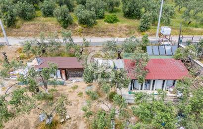 Denize Sıfır 3.044 m² Hazır Kamp ve BungIov İşletme devri