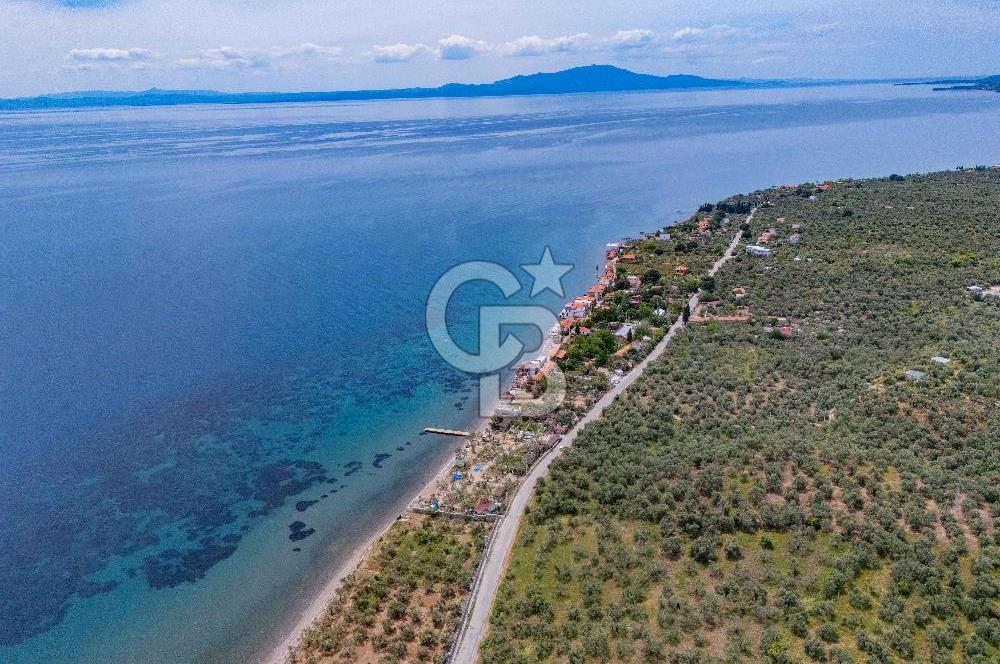 Denize Sıfır 3.044 m² Hazır Kamp ve BungIov İşletme devri