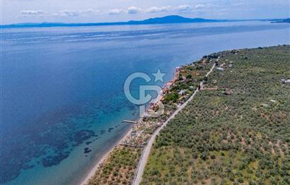 Denize Sıfır 3.044 m² Hazır Kamp ve BungIov İşletme devri