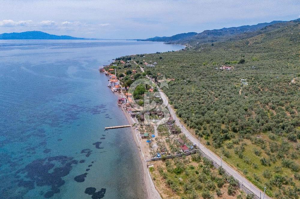 Denize Sıfır 3.044 m² Hazır Kamp ve BungIov İşletme devri