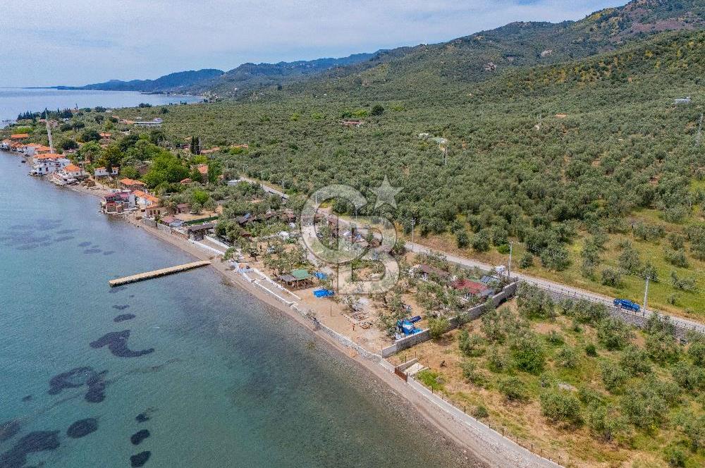 Denize Sıfır 3.044 m² Hazır Kamp ve BungIov İşletme devri