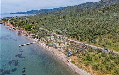 Denize Sıfır 3.044 m² Hazır Kamp ve BungIov İşletme devri