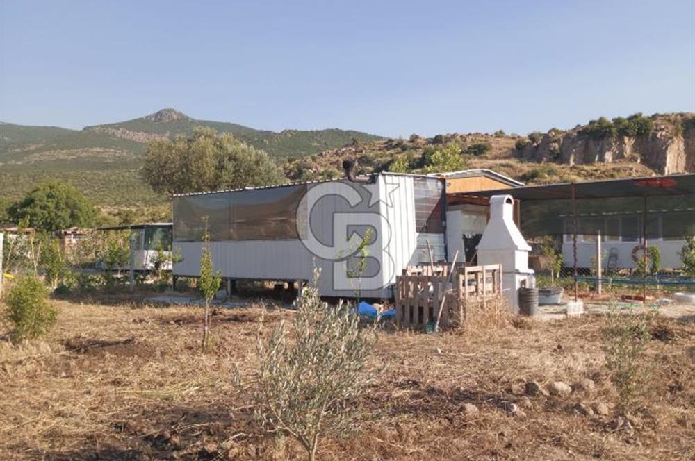 ALİAĞA UZUNHASANLAR KÖYÜNDE 445 M2 SATILIK HOBİ BAHÇESİ