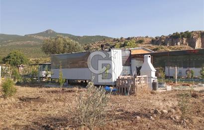 ALİAĞA UZUNHASANLAR KÖYÜNDE 445 M2 SATILIK HOBİ BAHÇESİ