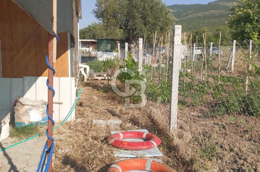 ALİAĞA UZUNHASANLAR KÖYÜNDE 445 M2 SATILIK HOBİ BAHÇESİ