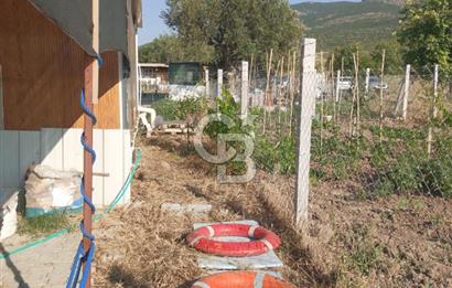 ALİAĞA UZUNHASANLAR KÖYÜNDE 445 M2 SATILIK HOBİ BAHÇESİ