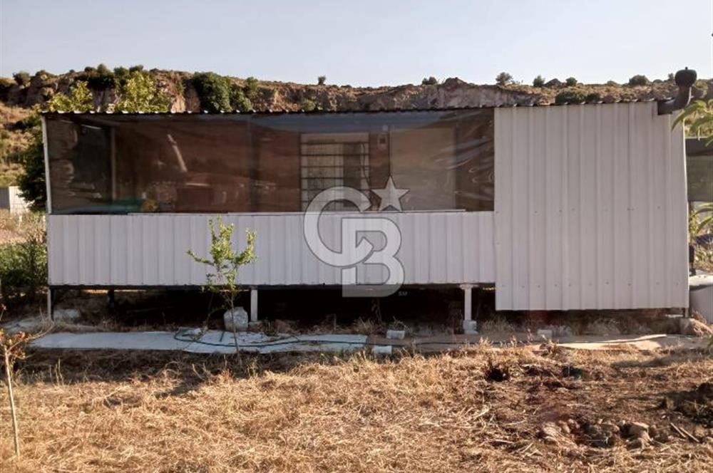 ALİAĞA UZUNHASANLAR KÖYÜNDE 445 M2 SATILIK HOBİ BAHÇESİ
