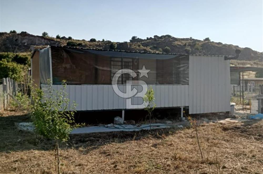 ALİAĞA UZUNHASANLAR KÖYÜNDE 445 M2 SATILIK HOBİ BAHÇESİ