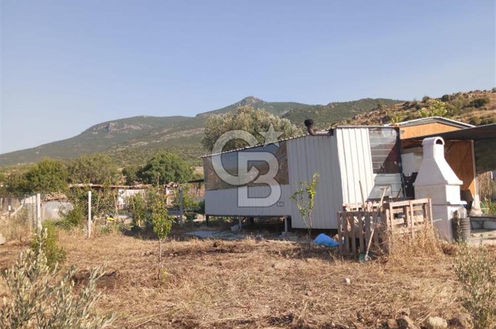 ALİAĞA UZUNHASANLAR KÖYÜNDE 445 M2 SATILIK HOBİ BAHÇESİ