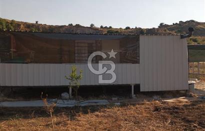 ALİAĞA UZUNHASANLAR KÖYÜNDE 445 M2 SATILIK HOBİ BAHÇESİ