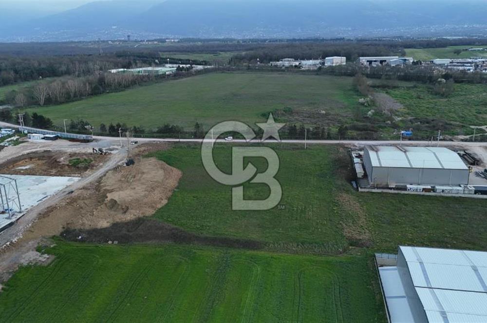 CB Elexus'tan Kartepe Uzunçiftlik'te 11 Dönüm Sanayi Arsası