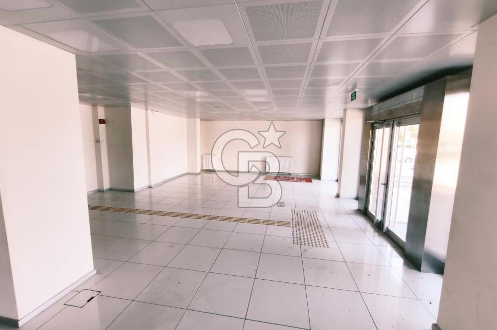 Natoyolu Caddesi Üzerinde Banka Altyapılı, Geniş Cepheli 460 m² Kiralık Mağaza/Dükkan