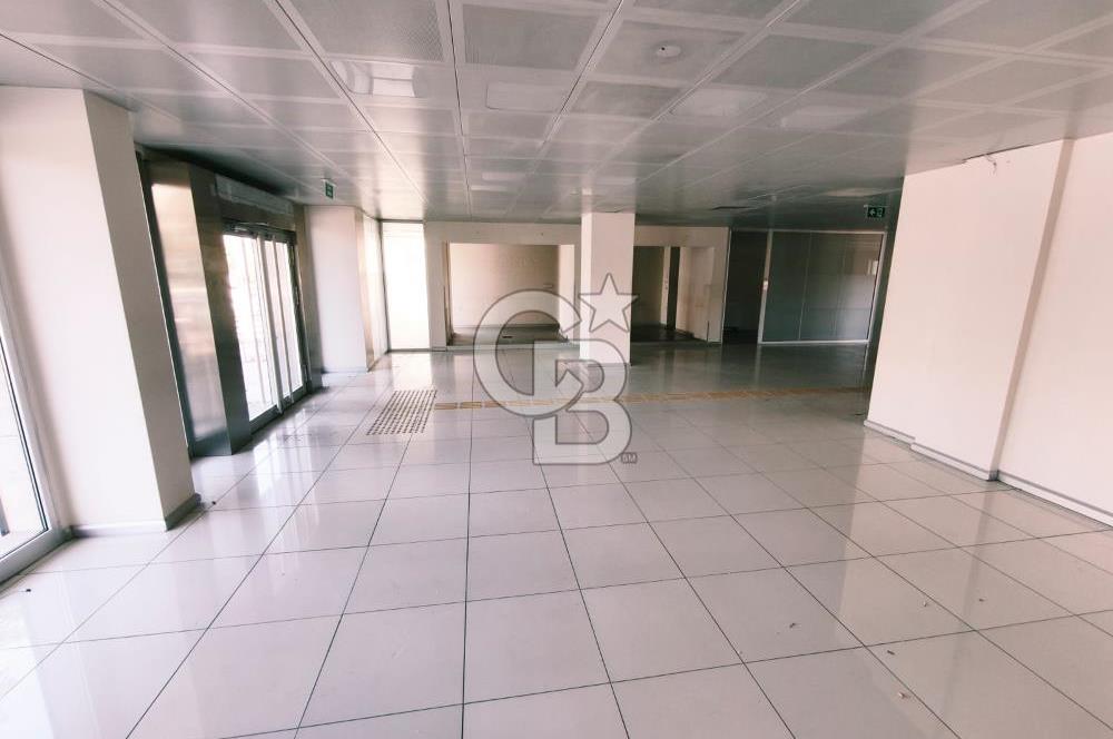 Natoyolu Caddesi Üzerinde Banka Altyapılı, Geniş Cepheli 460 m² Kiralık Mağaza/Dükkan