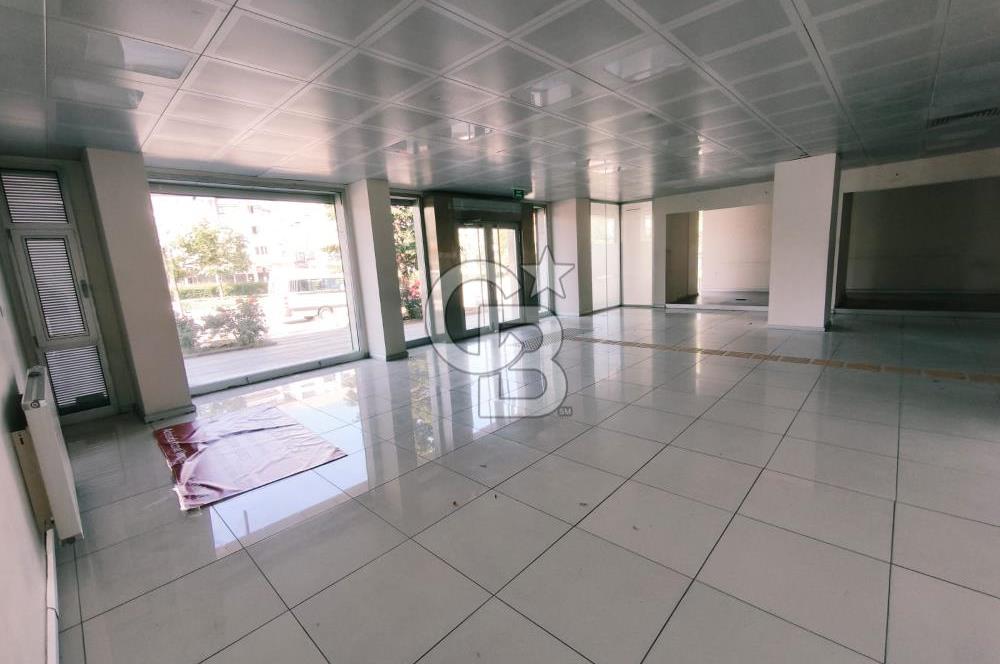 Natoyolu Caddesi Üzerinde Banka Altyapılı, Geniş Cepheli 460 m² Kiralık Mağaza/Dükkan