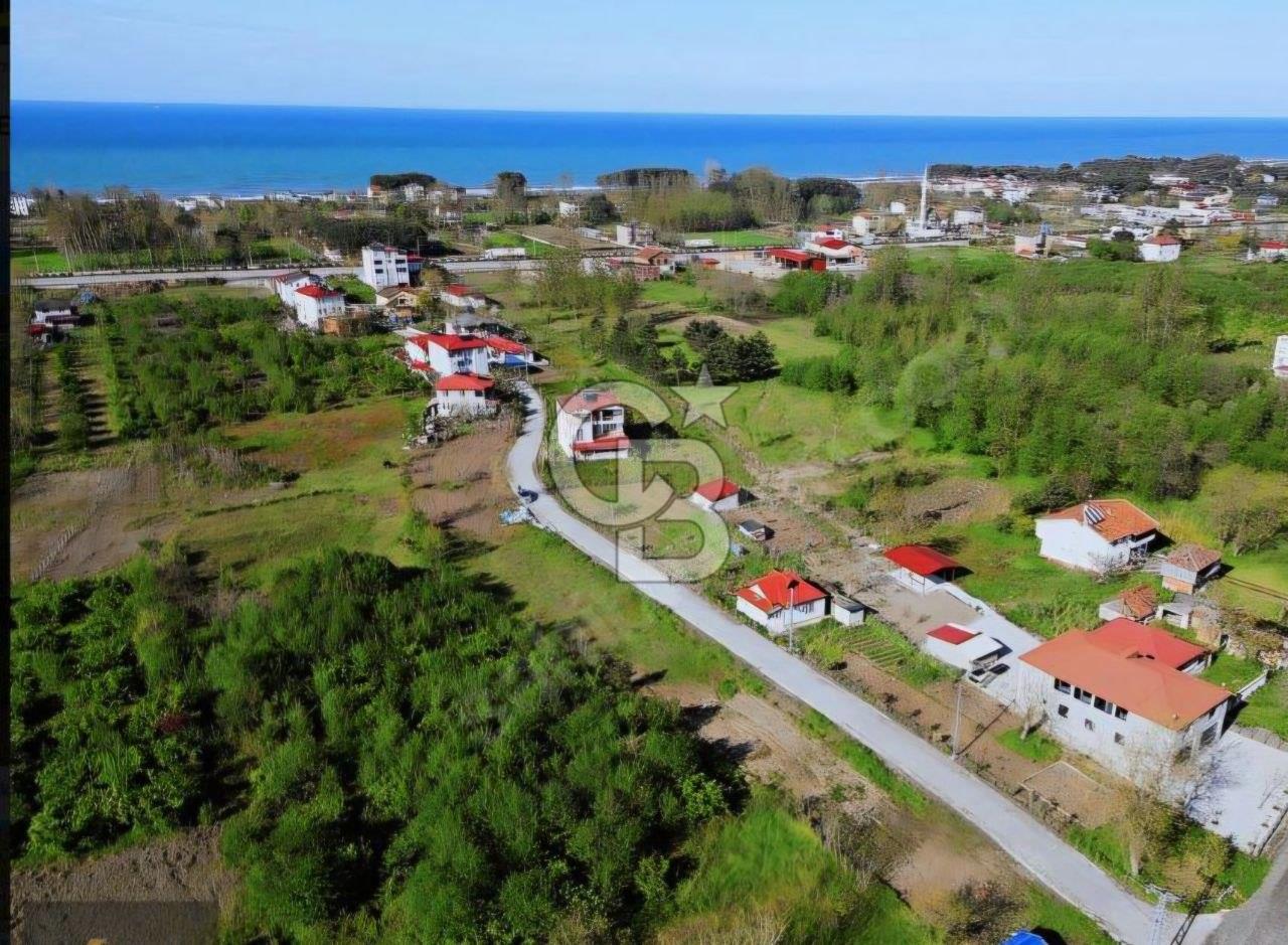 Samsun Terme'de 7.690 m² Konut İmarlı Arsa