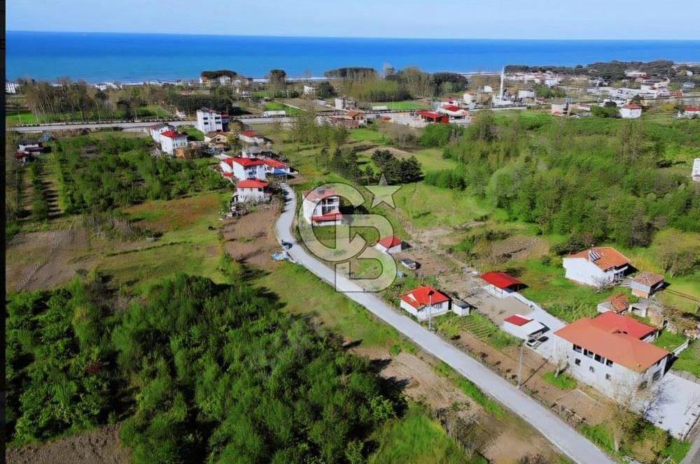 Samsun Terme'de 7.690 m² Konut İmarlı Arsa