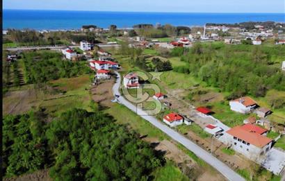 Samsun Terme'de 7.690 m² Konut İmarlı Arsa