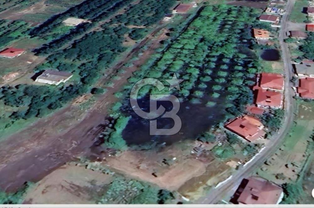 Samsun Terme'de 7.690 m² Konut İmarlı Arsa
