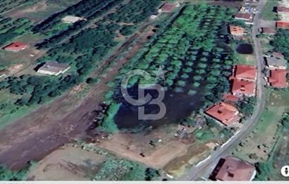 Samsun Terme'de 7.690 m² Konut İmarlı Arsa